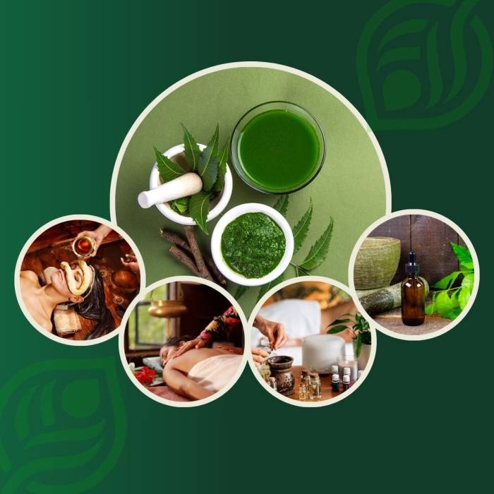 GMP Certified Ayurvedic Medicine Companies in India - Alicanto Biotech