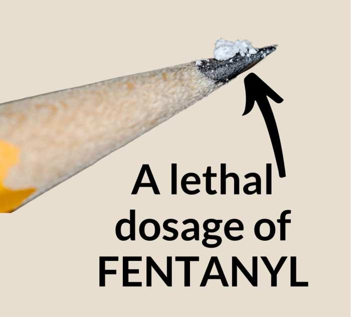 Threat letter laced with fentanyl sent to Georgia election official ...